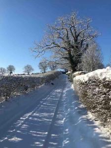 a snow covered road with a tree on a hill at Winters Farm Cottage in Mayfield