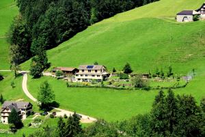 a house on a hill with a green field at Sonnmatt Bergpension & Gesundheitszentrum in Ebnat