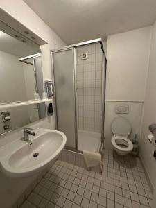 a bathroom with a shower and a sink and a toilet at Dillinger Hof in Dillingen an der Donau