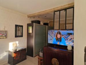 TV a/nebo společenská místnost v ubytování Bienvenue Chez Nous