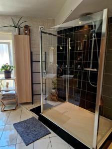 a shower with a glass door in a bathroom at Bienvenue Chez Nous in Clouange