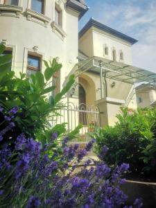 une maison avec des fleurs violettes devant dans l'établissement Kúria apartman with private jacuzzi and pool, à Budapest 157 autres photos