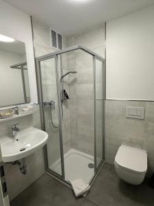 ディリンゲン・アン・デア・ドナウにあるDillinger Hofのバスルーム(シャワー、トイレ、シンク付)