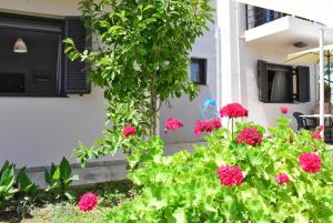 A garden outside Casa Luminosa Guesthouse