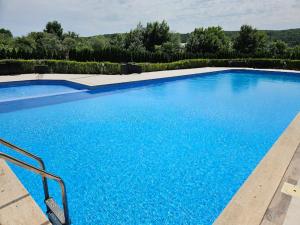 a large blue swimming pool in a yard at Azur Properties 72 in Shkorpilovtsi