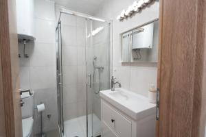 un bagno bianco con doccia e lavandino di Apartment Loyd, Kranjska Gora - studio a Kranjska Gora Altre 16 foto