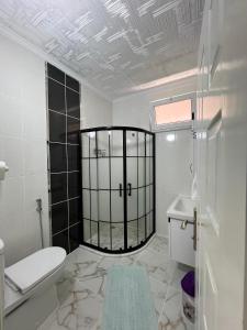 a bathroom with a shower with a toilet and a sink at Yavuz Luxury Apartments in Macka