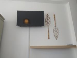 una televisione su uno scaffale con una piuma sopra di Casa Pereira a Vila Nova de Milfontes
