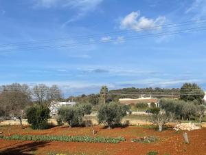 Photo de la galerie de l'établissement La casa di Nic, à Ostuni 3 autres photos