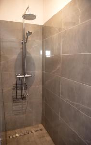 a shower with a shower head in a bathroom at La Maison du Cotton- Gite bio-climatique in Andernos-les-Bains