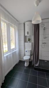 a bathroom with a white toilet and a window at Pine forest house 8 in Gauja +38 photos