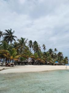 einen Strand mit Palmen und dem Meer in der Unterkunft Discovery Gunayar in Waisalatupo