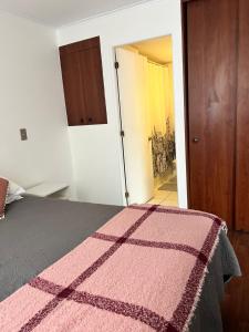 a bedroom with a pink blanket on a bed at Departamento Céntrico 1 ambiente in Santiago +2 photos