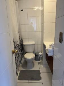 a small bathroom with a toilet and a sink at Departamento Céntrico 1 ambiente in Santiago