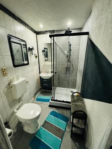 a bathroom with a shower and a toilet and a sink at Ferienwohnung Heringen in Heringen