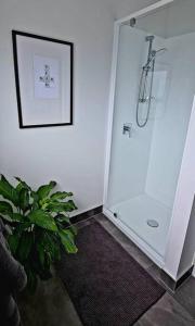 a bathroom with a shower with a plant and a picture at Apartment 4 - Haddin Court - Chic NY Loft Style in Blenheim