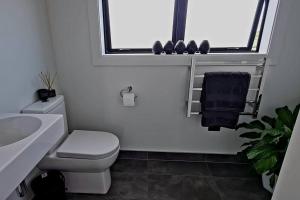 a bathroom with a toilet and a sink and a window at Apartment 4 - Haddin Court - Chic NY Loft Style in Blenheim