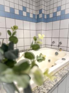 Fotografie z fotogalerie ubytování Porty Brasil Hotel v destinaci Paranaguá