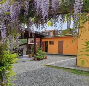 a garden with purple flowers hanging from a pergola at #bordigona in Carrodano Inferiore
