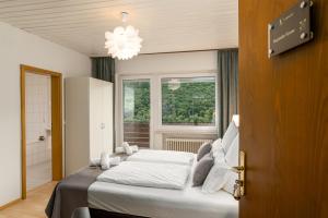 a bedroom with a bed and a window at Elbling Appartement for 4 People - Billiards - 2 Bedrooms - 2 Bathrooms - Balcony with Mosel View - Parking - Wine Barrel Bar - Fully Equipped Kitchen - Netflix - WaipuTV - 3 km from Cochem in Klotten