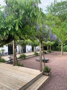 a wooden walkway in a park with trees and purple flowers at Wisteria Österlen in Simrishamn