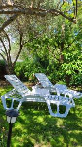 Fotografie z fotogalerie ubytování Apartman Padova v Rabu