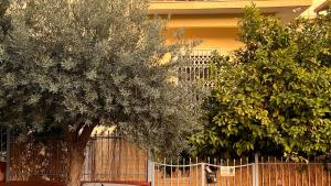 Φωτογραφία από το άλμπουμ του Lemon Treehouse Alimos στην Αθήνα