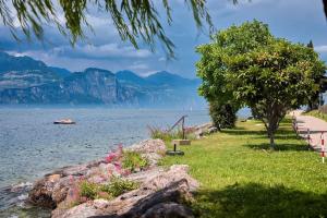a park with a tree and the water and mountains at Benaco Hause 3 in Brenzone sul Garda