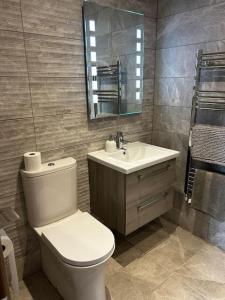 a bathroom with a toilet and a sink and a mirror at Kells Ocean View Luxury Retreat in Kilkeehagh +30 photos
