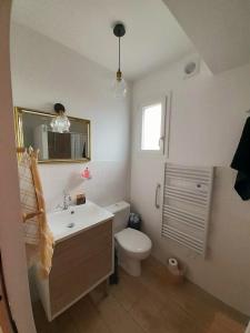 a bathroom with a toilet and a sink and a mirror at La casa d'isa in Ducey +3 photos