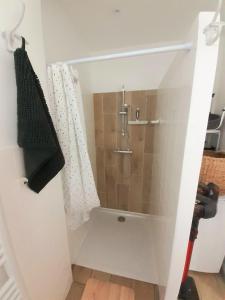 a bathroom with a shower with a shower curtain at La casa d'isa in Ducey