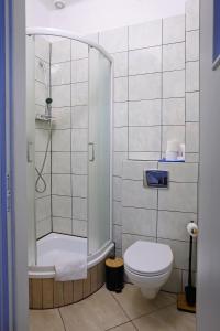 een badkamer met een douche en een toilet bij Promenada in Węgierska Górka