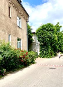 Vonkajšia záhrada v ubytovaní Atelier Herbst by Noclegi Renters