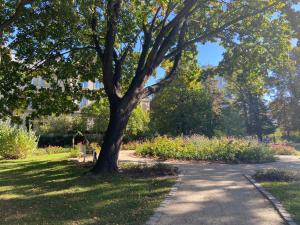 Vonkajšia záhrada v ubytovaní Atelier Herbst by Noclegi Renters