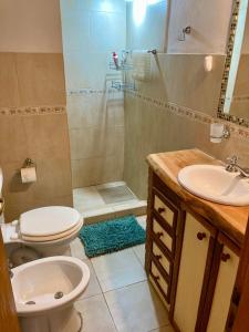 un bagno con wc, lavandino e doccia di Sabrosur Departamentos a El Bolsón