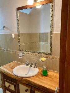 un bagno con lavandino e specchio di Sabrosur Departamentos a El Bolsón Altre 23 foto