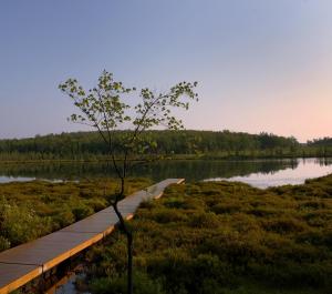 Gallery image of The Lodge at Woodloch in Hawley