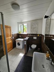 łazienka z umywalką i pralką w obiekcie Idyllisches Ferienhaus im Fichtelgebirge w mieście Nagel