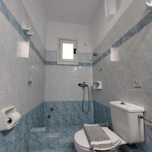 ein Bad mit einem WC und einer Dusche in der Unterkunft HOTEL KAPARI in Agia Anna