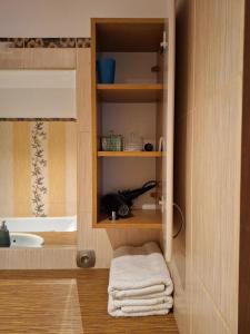 斯塞新的住宿－Turkusowa Apartament，一间带水槽和架子上毛巾的浴室