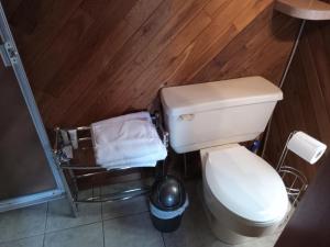 a bathroom with a white toilet and a trash can at Luisa's guest suite in Keremeos +7 photos