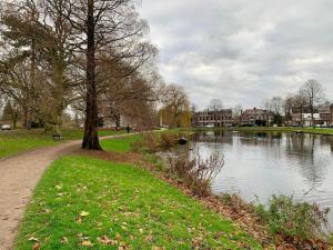 een park met een boom en een rivier met gebouwen bij Design Family Apartment in Leiden Center 6p & baby in Leiden