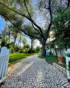 Gallery image of Hotel Mediterraneo in Santa Maria Navarrese