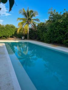 a blue swimming pool with a palm tree in the background at Casita Flor de Mayo in Santa María Colotepec +15 photos