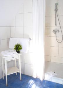 ein Bad mit einer weißen Dusche und einem Tisch mit einem Waschbecken in der Unterkunft Landhaus Fillerberg in Wildeshausen
