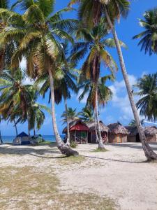 eine Gruppe von Palmen am Strand in der Unterkunft Discovery Gunayar in Waisalatupo