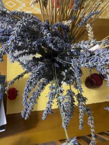 Gallery image of Rupa Guest House in Theth