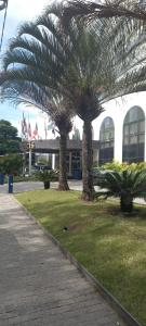 two palm trees in front of a building at International Airport Flat - Guarulhos quarto 1267 in Guarulhos
