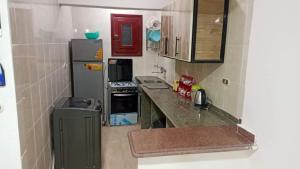 マルサ・マトルーフにあるشقه مصيفيه امام البحيرهの小さなキッチン(冷蔵庫、コンロ付)