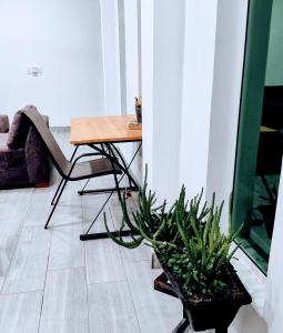 einen Tisch und einen Stuhl in einem Zimmer mit Pflanzen in der Unterkunft Casa campestre californiana con piscina privada in El Brasil